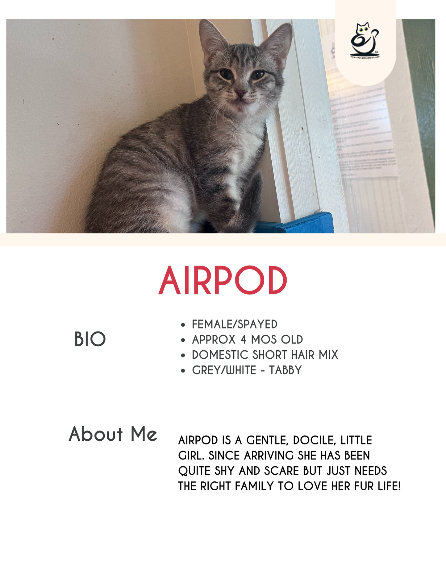 AirPod