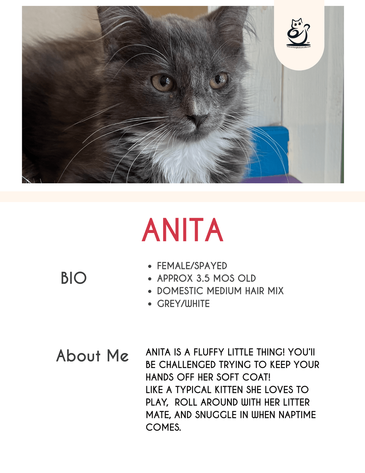 Anita