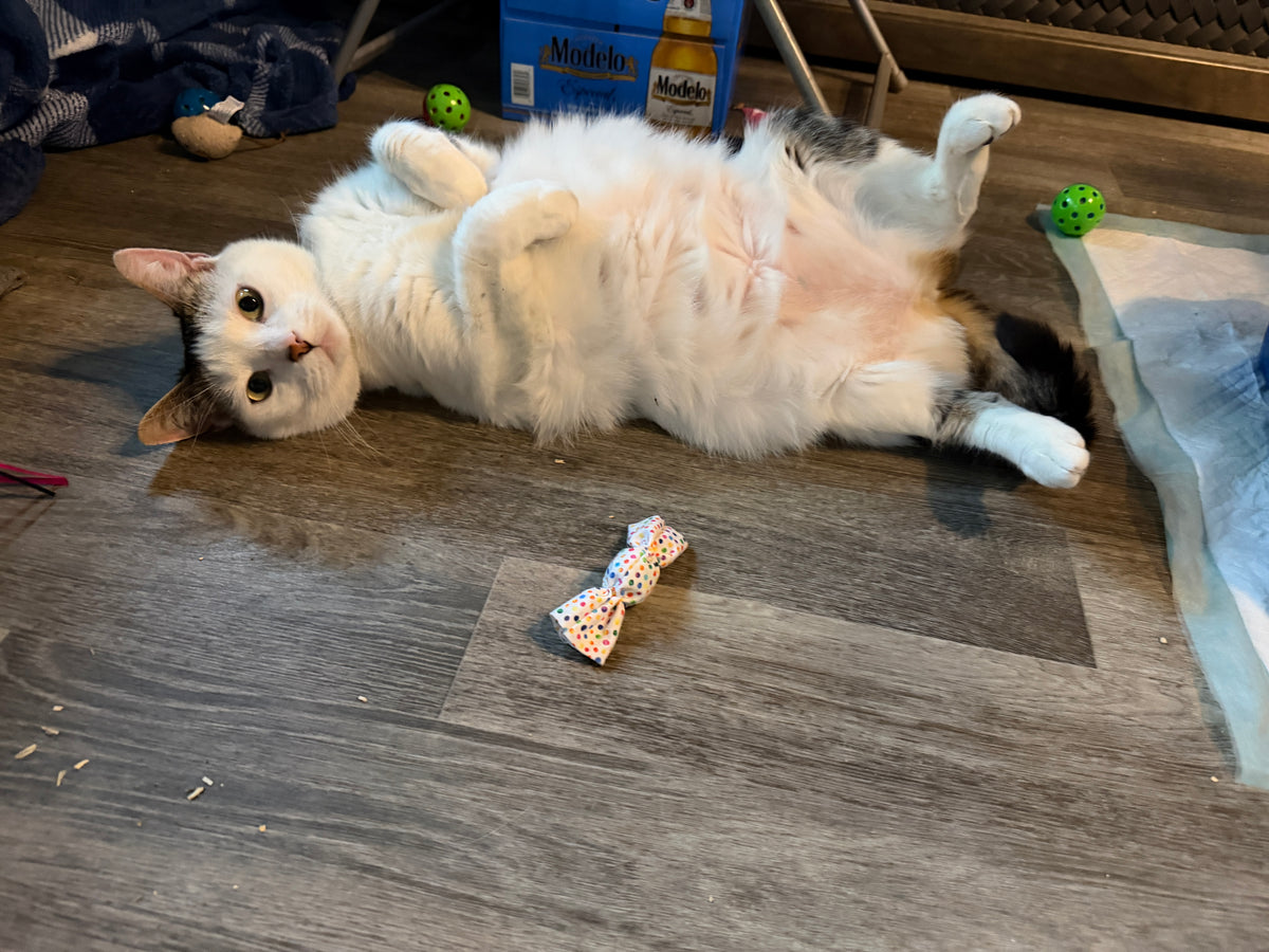 Big Girl
