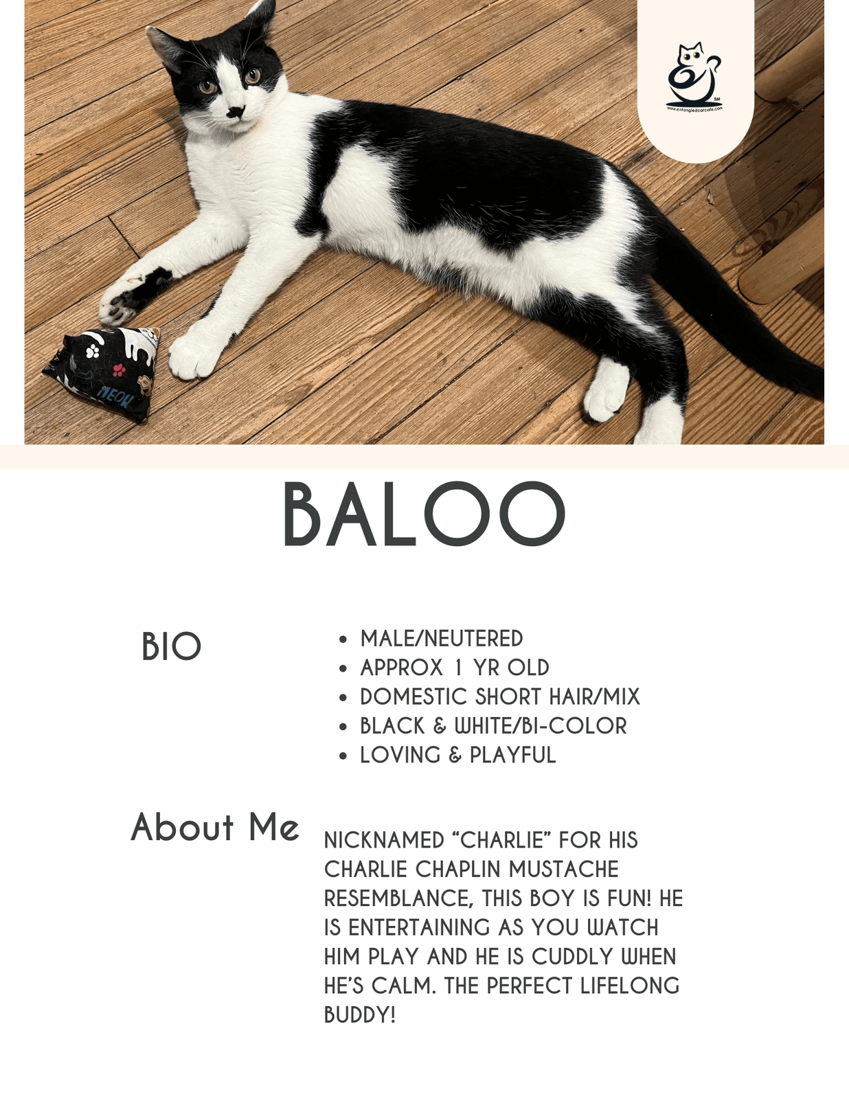 Baloo