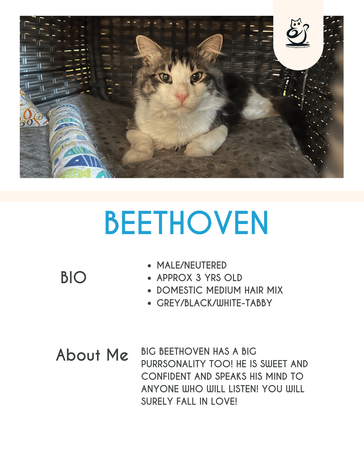 Beethoven