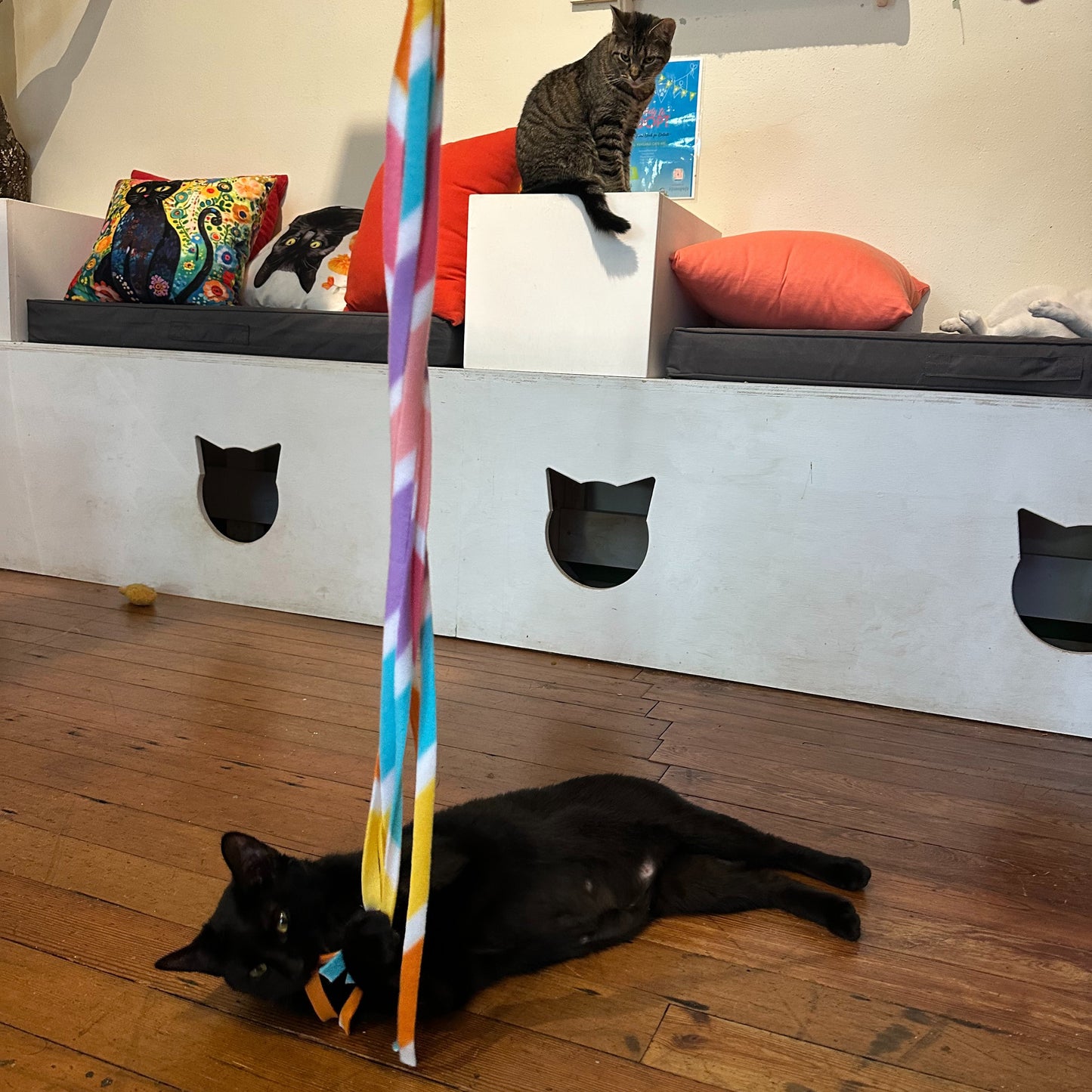 Feline Frenzy Colorful Wand Catnip Toy