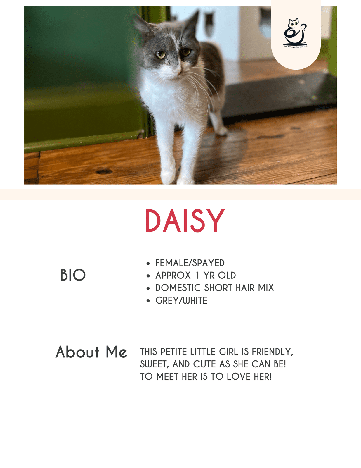 Daisy