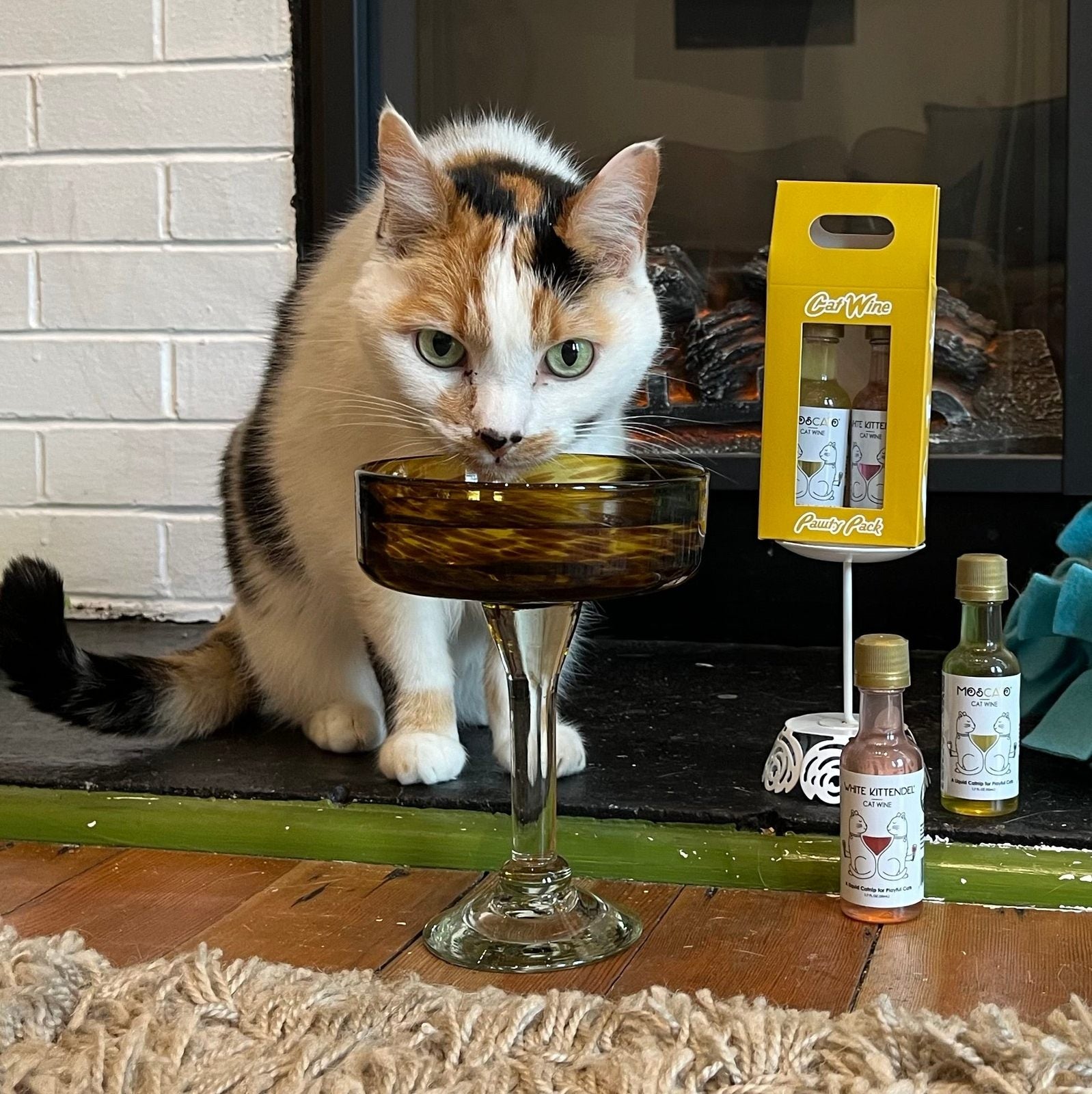 Set Cat Wine