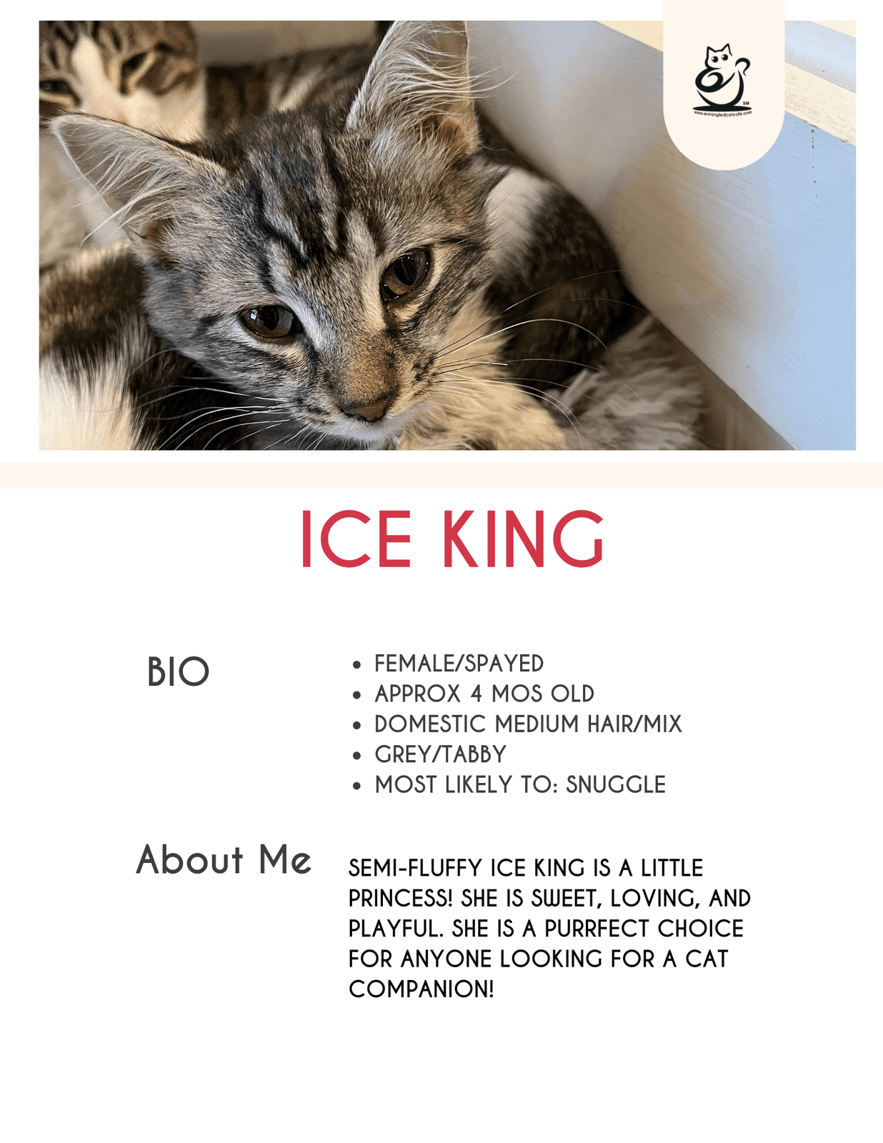 Ice King