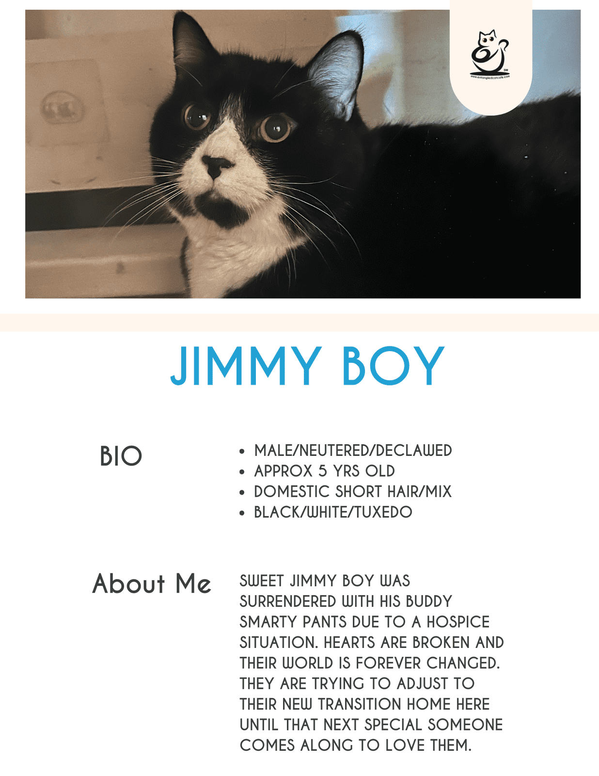 Jimmy Boy