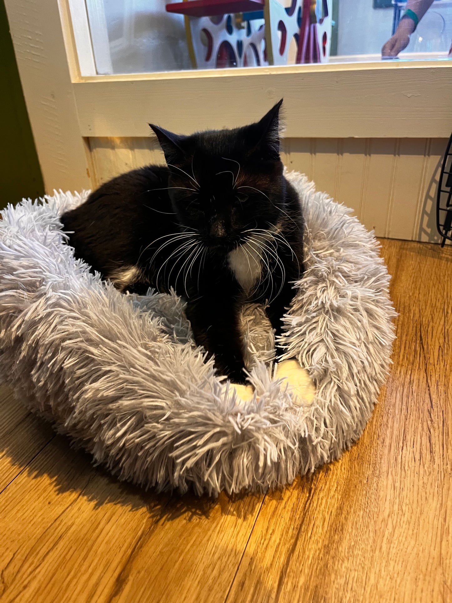 Luna