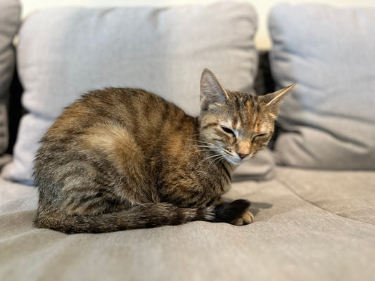 Marble