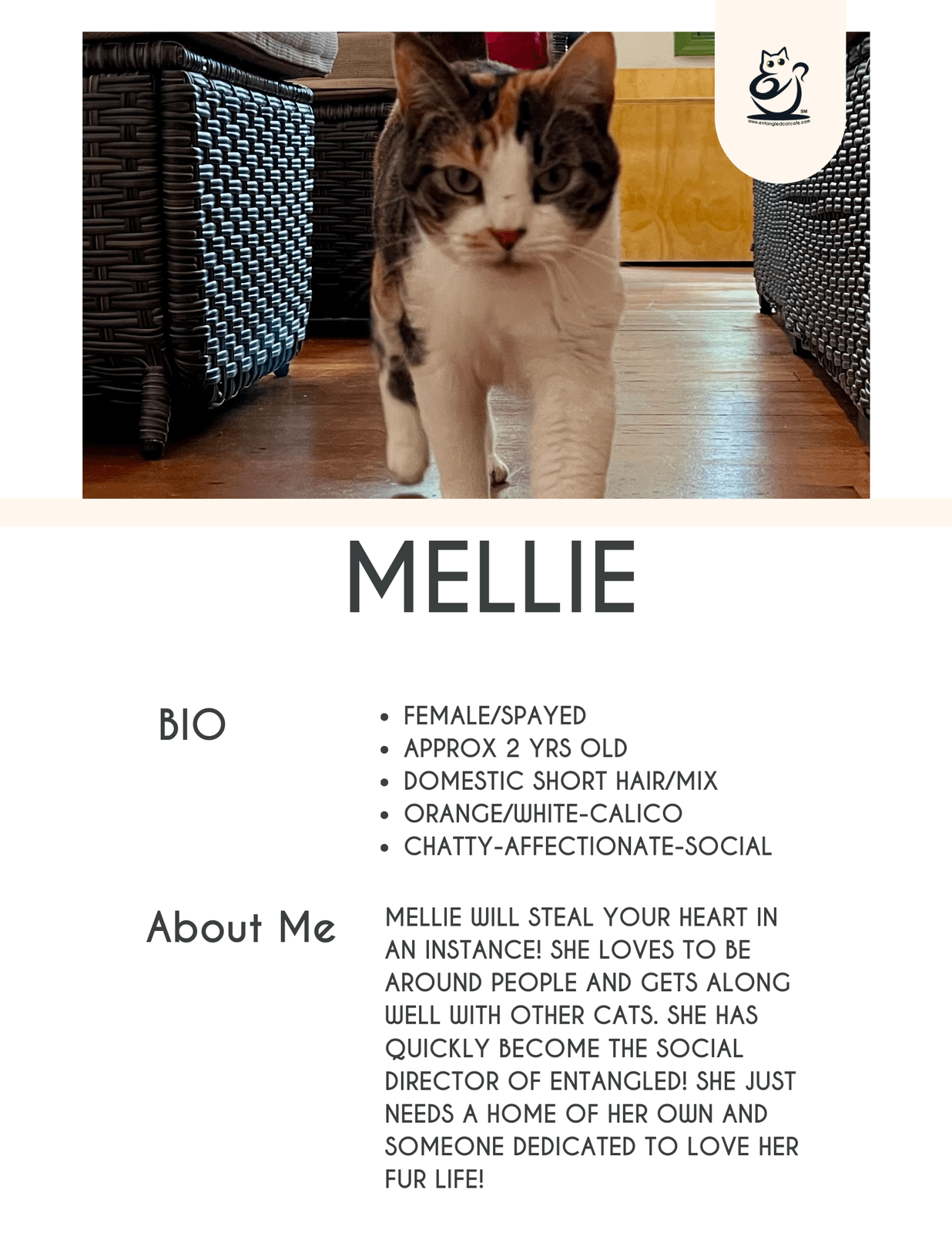 Mellie