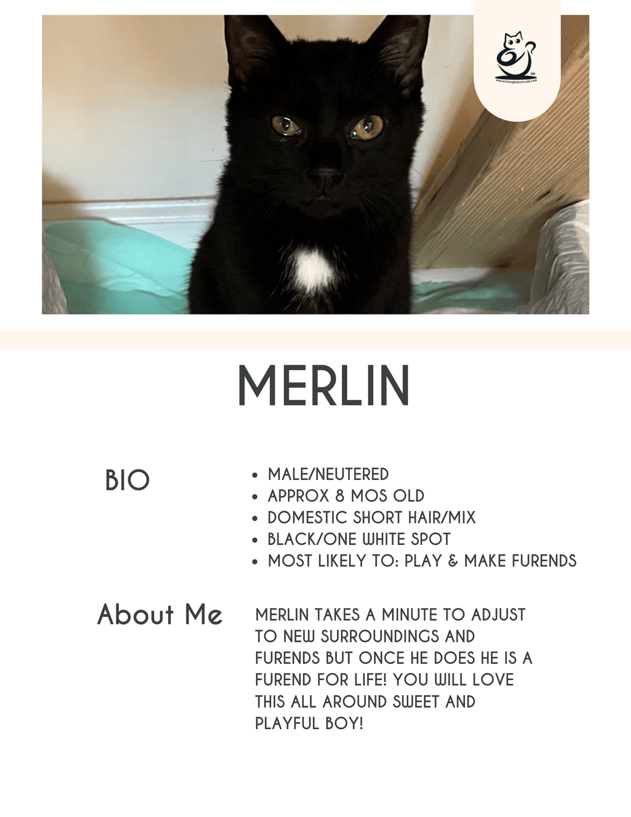 Merlin