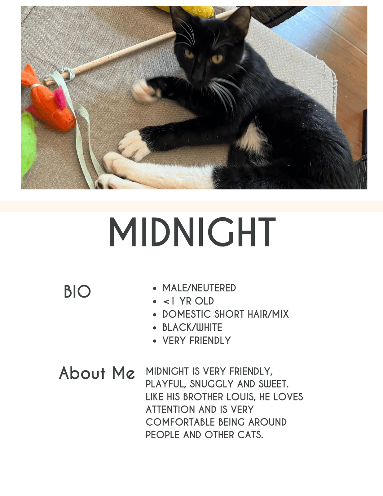 Midnight
