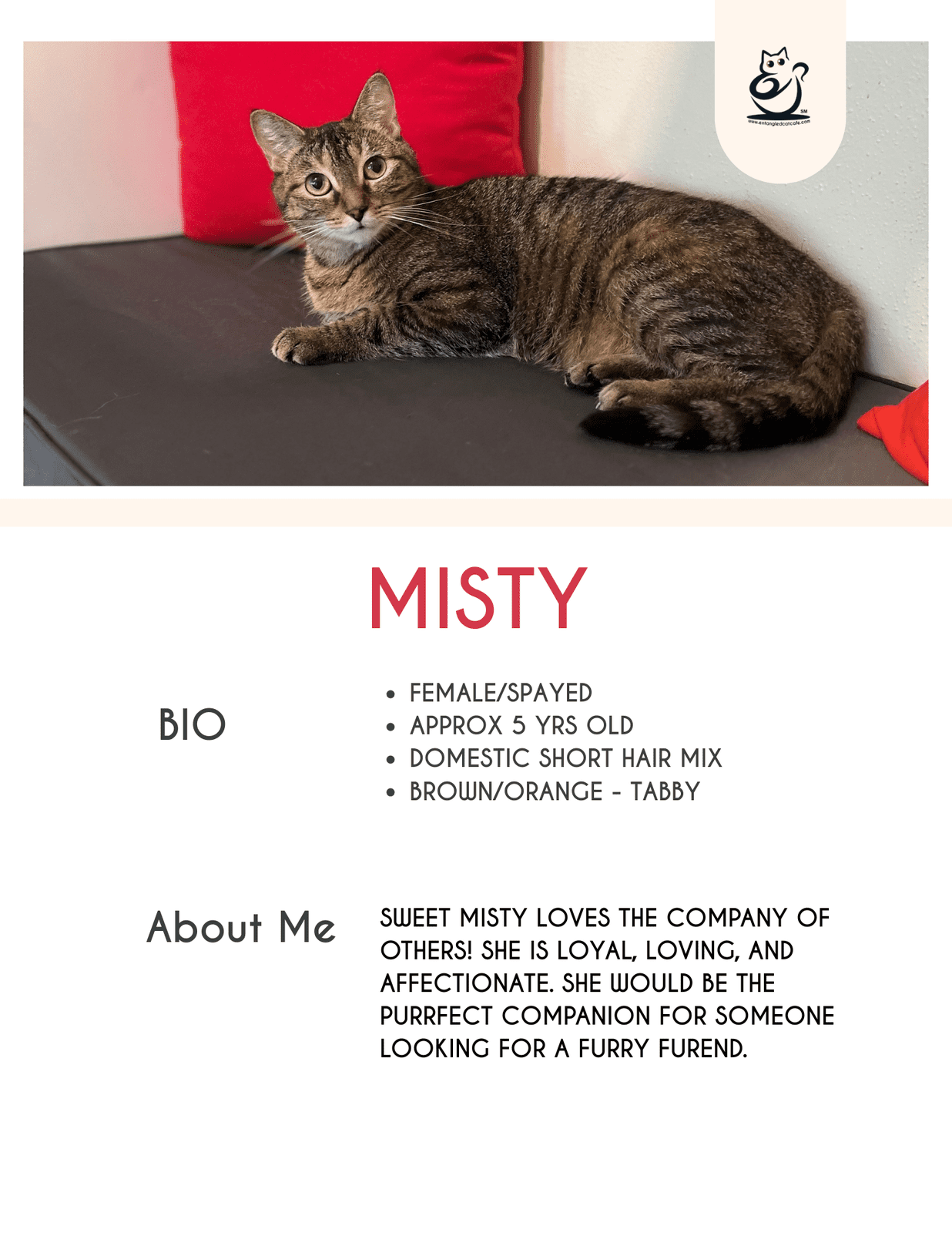 Misty