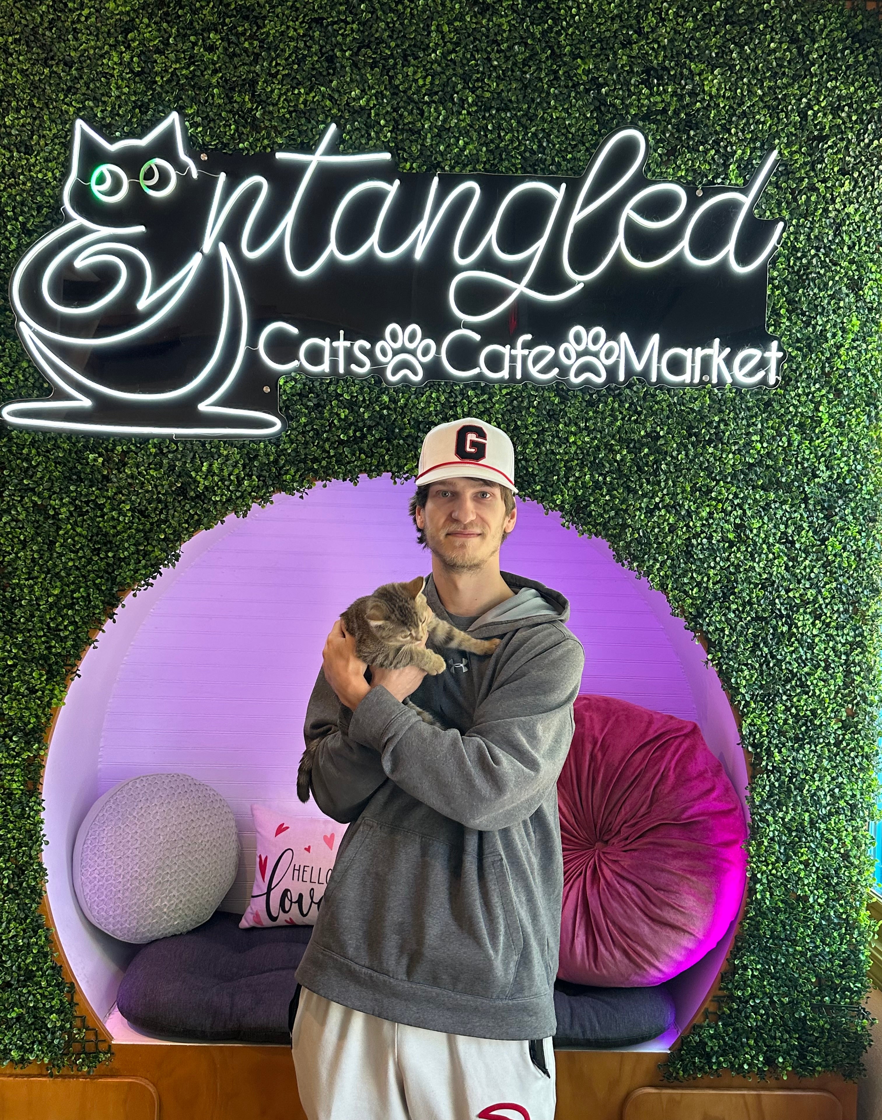 Mocha – Entangled Cat Cafe