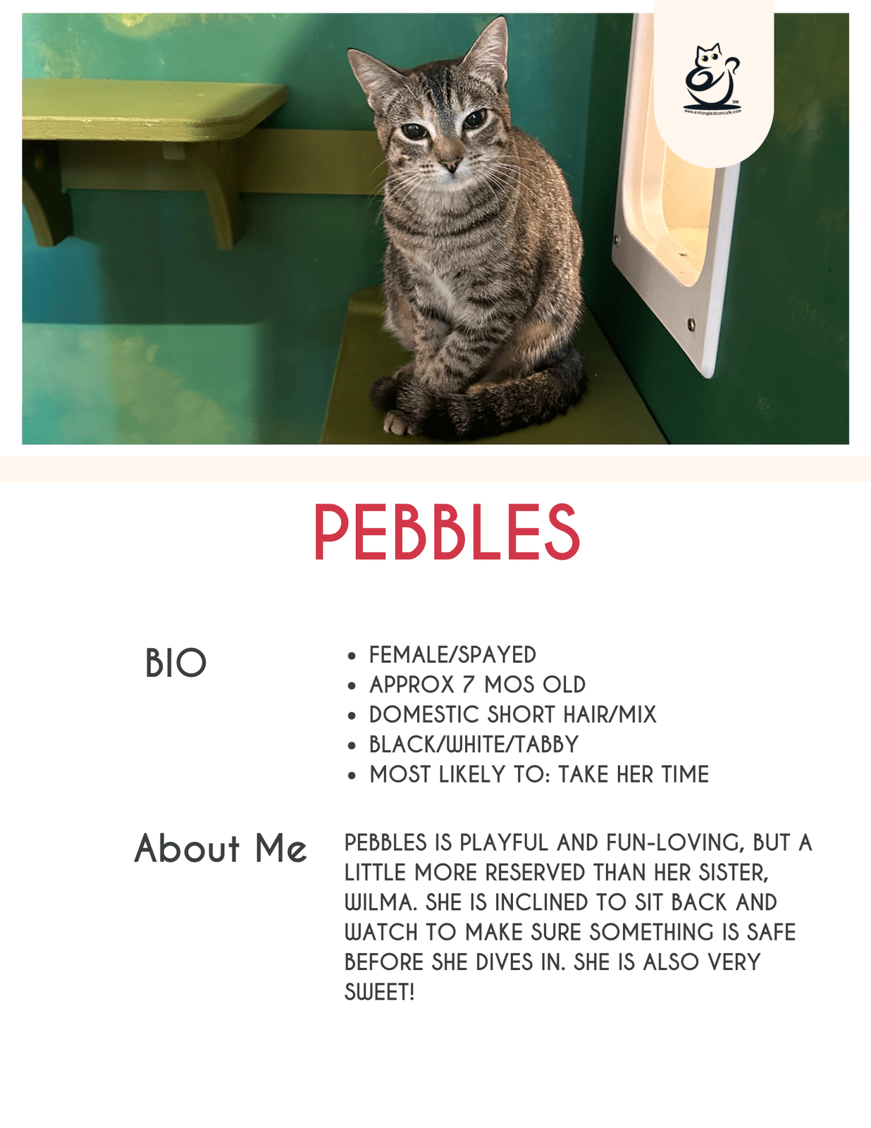 Pebbles