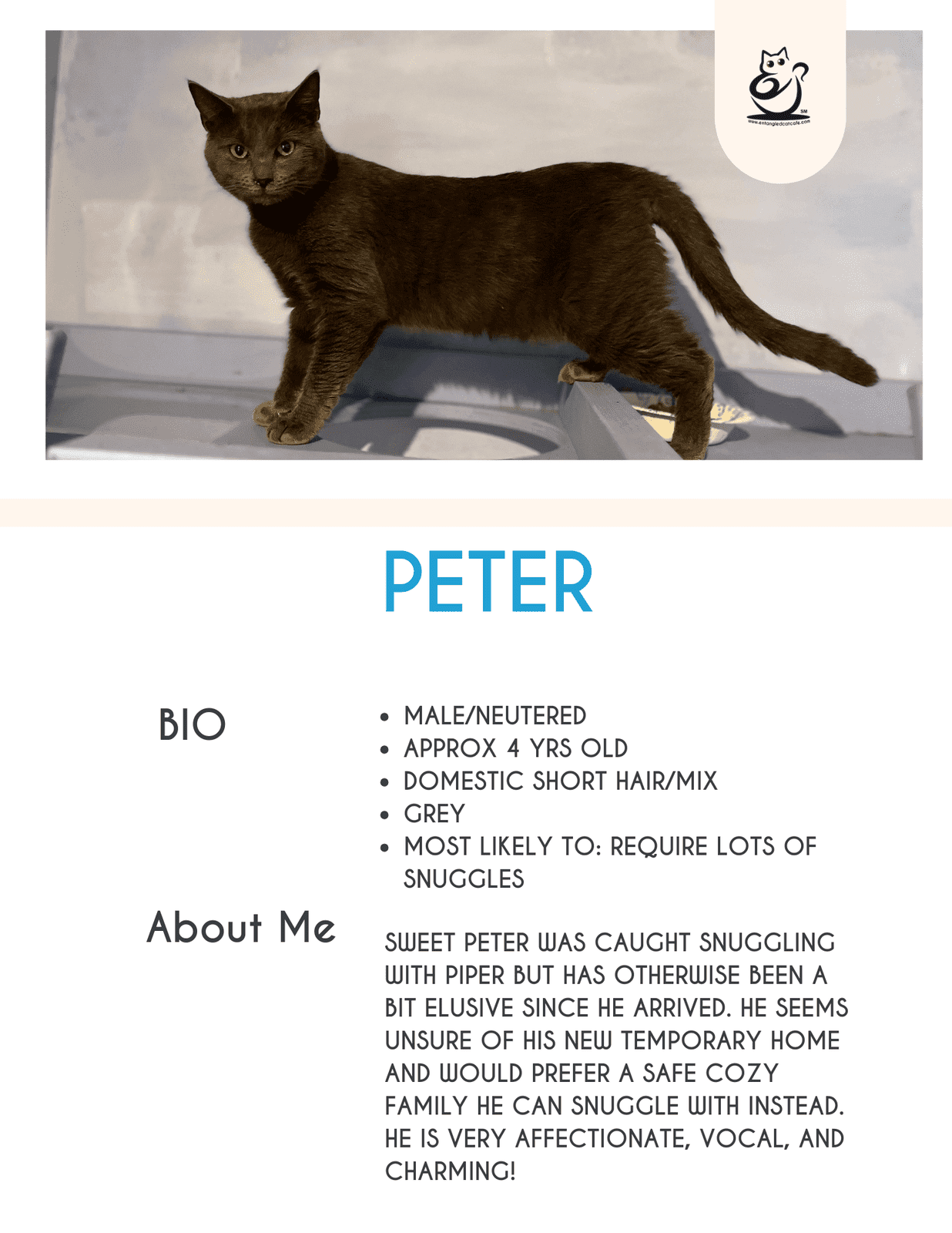 Peter