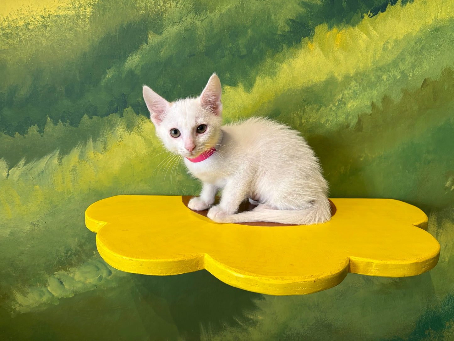 Pip