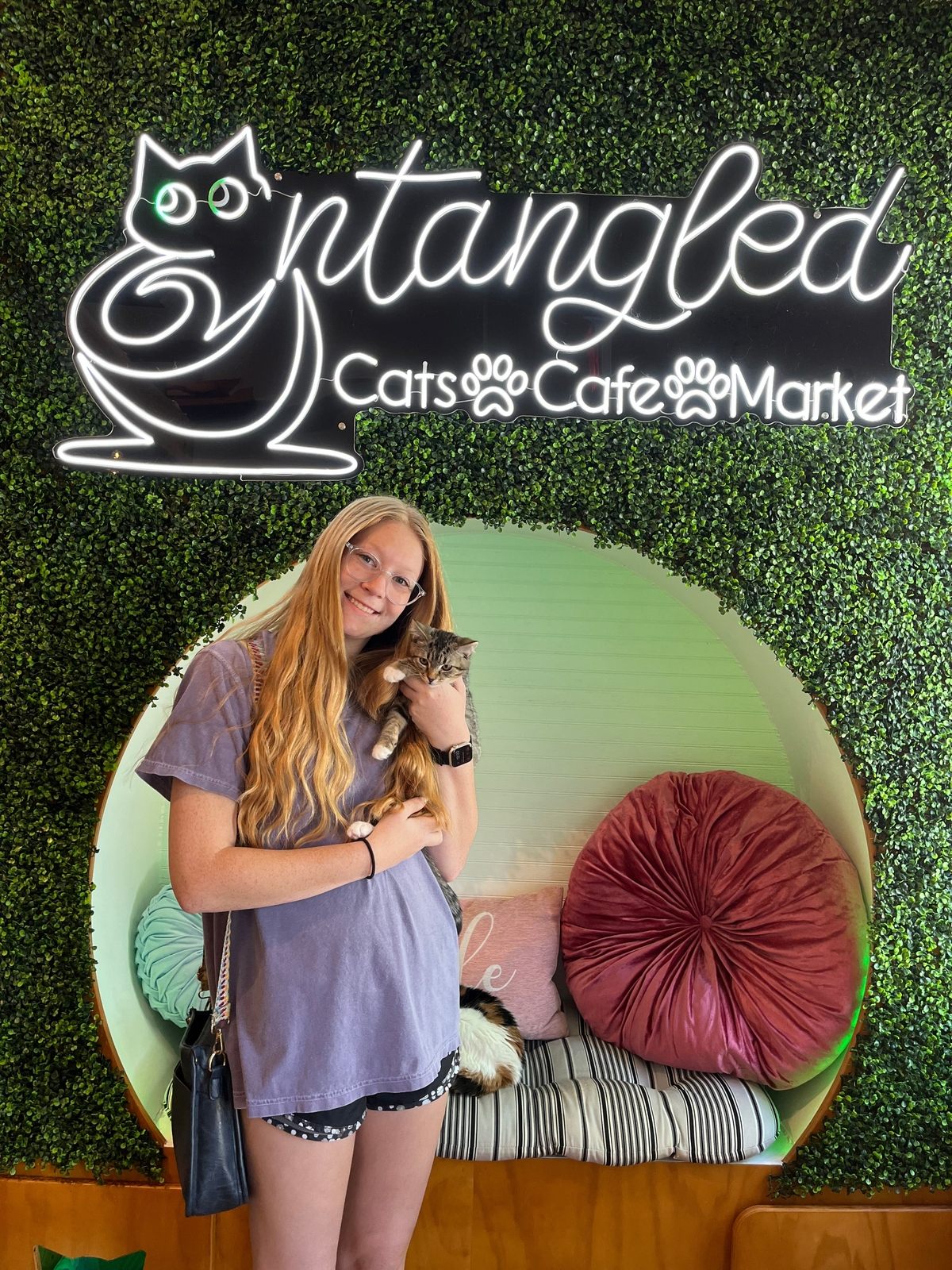 Squawk Squawk Squawk – Entangled Cat Cafe