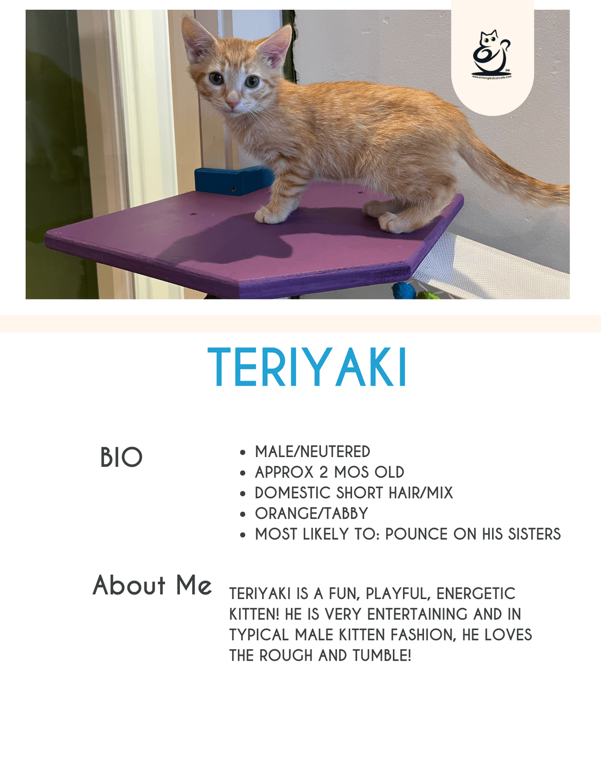 Teriyaki