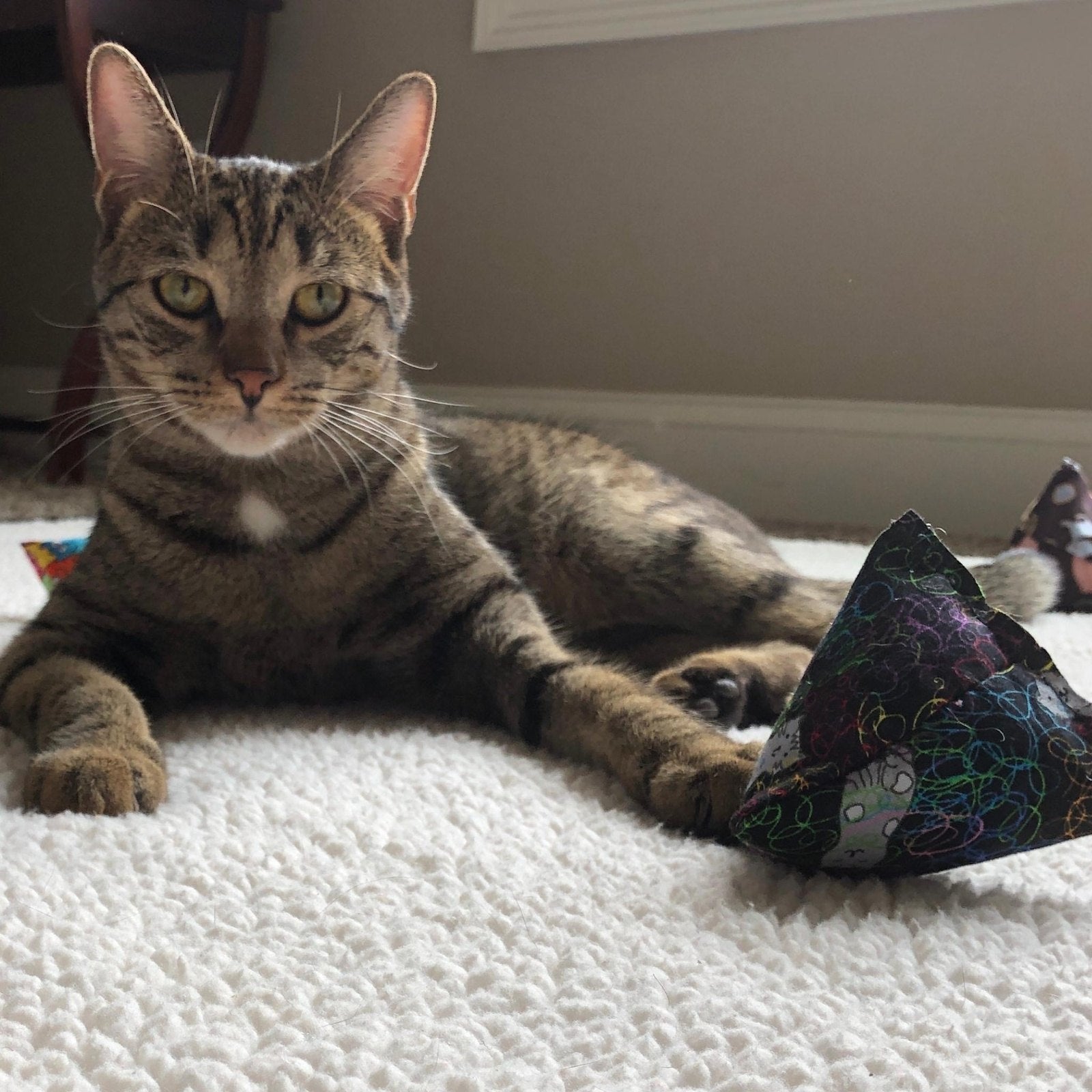 Feline Frenzy- Catnip Kicker and Triangle Set