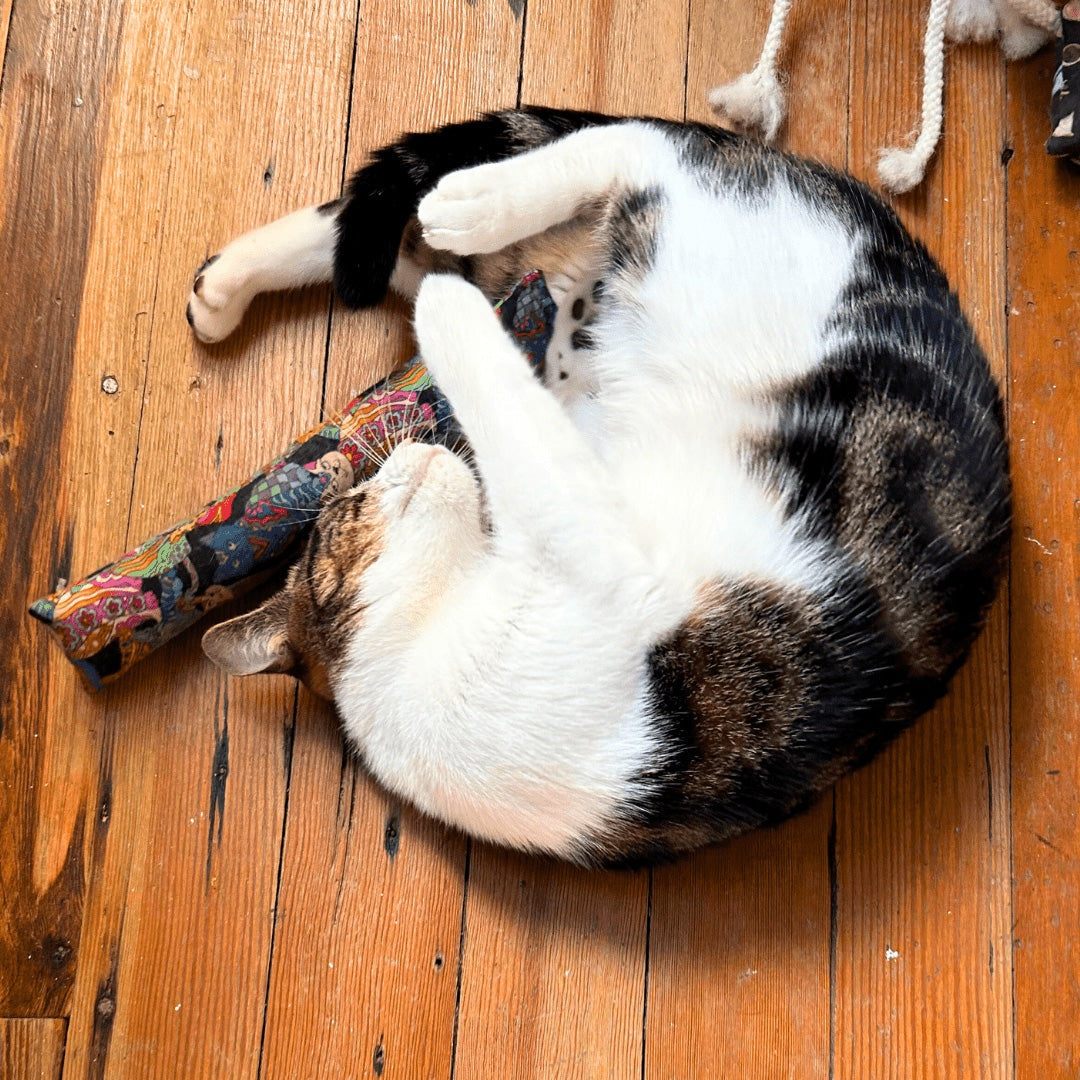 Feline Frenzy-Catnip Kickers