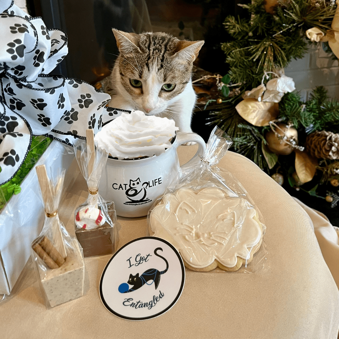 Cat Lover's Hot Chocolate and Mug Gift Set