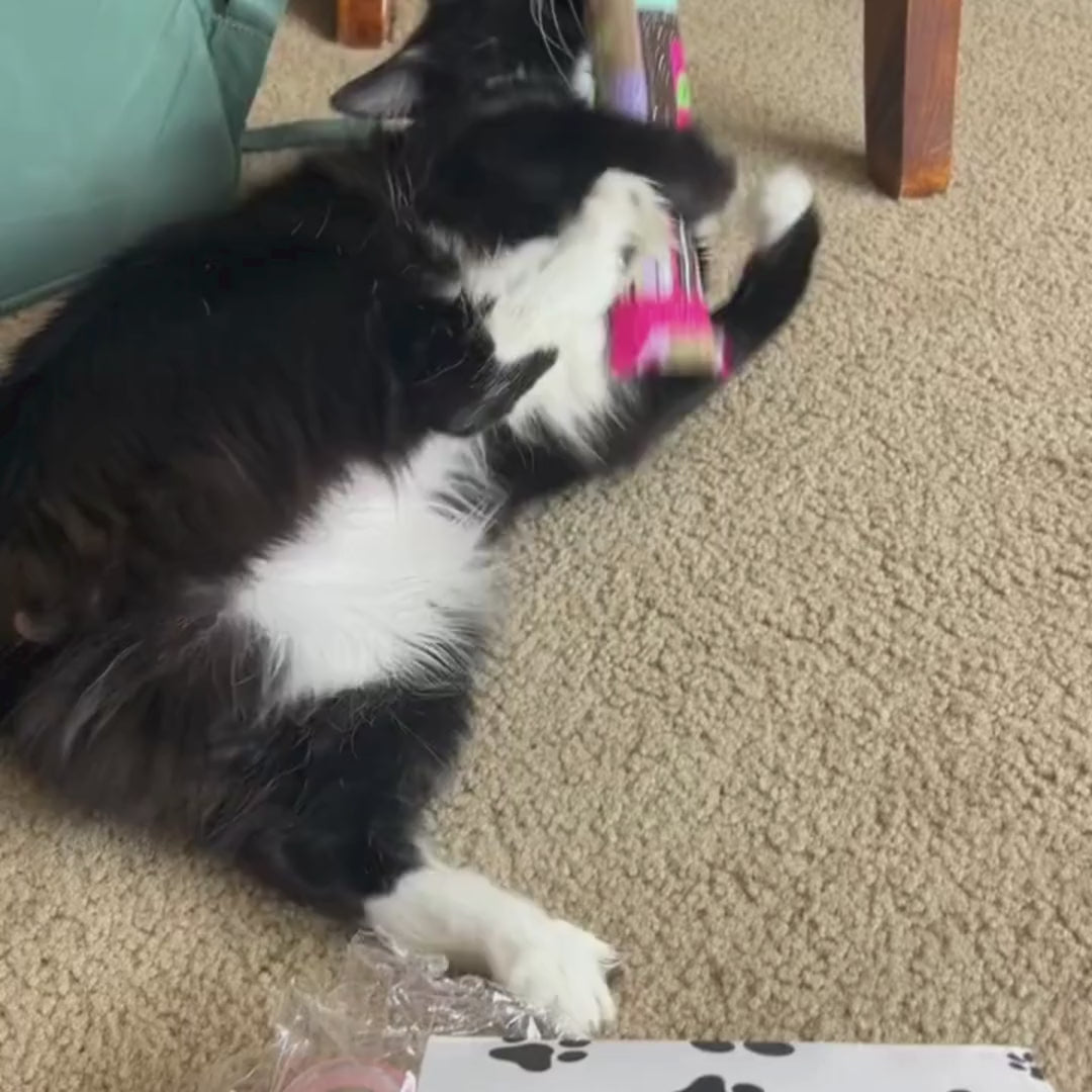 Feline Frenzy-Catnip Kicker – Entangled Cat Cafe