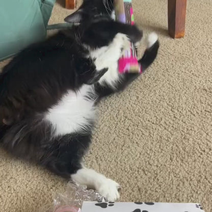 Feline Frenzy-Catnip Kickers