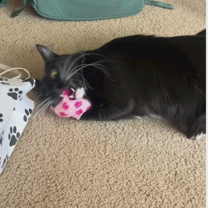 Feline Frenzy Catnip Triangle