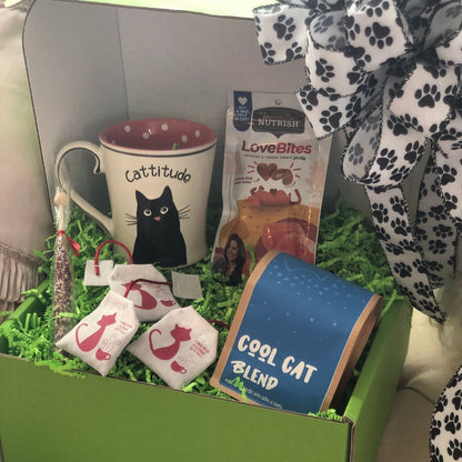 CATfeine - Coffee Mug Gift Sets Entangled Cat Cafe